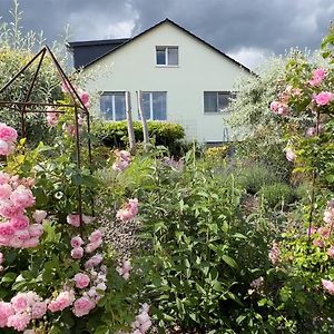 Apartments am Ringelberg